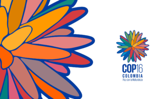 Oikos alla COP 16 a Cali, Colombia