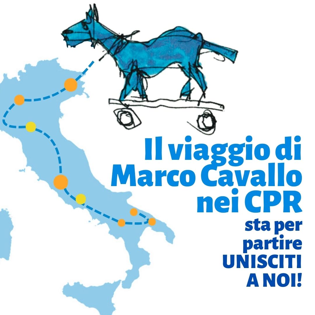 marco cavallo